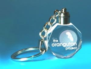 2D Grand Gem Keyring with Light 35 X 10 X 40