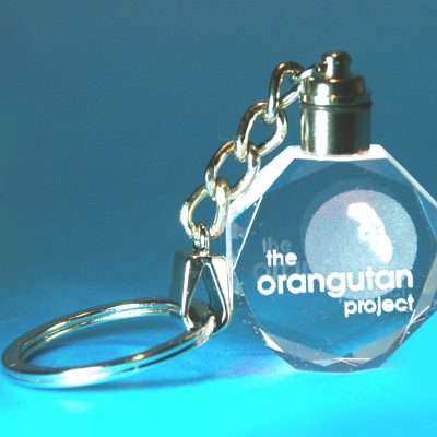 2D Grand Gem Keyring with Light 35 X 10 X 40