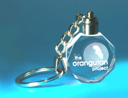 2D Grand Gem Keyring with Light 35 X 10 X 40