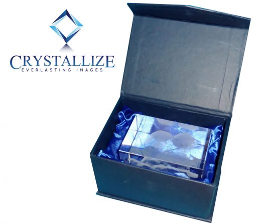 2D Crystal Photo Big Love 100 X 100 X 30